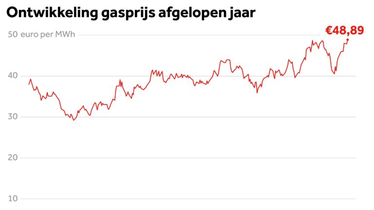 ontwikkeling gasprijs 2025